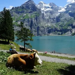 Explore Walking and E-biking in the Swiss Alps for 8 days with Exodus Adventure Travels and discover unforgettable experiences - Photo 4