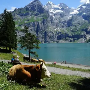 Explore Walking in Kandersteg for 6 days with Exodus Adventure Travels and discover unforgettable experiences - Photo 4