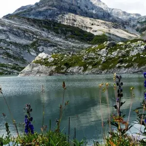 Explore Walking and E-biking in the Swiss Alps for 8 days with Exodus Adventure Travels and discover unforgettable experiences - Photo 7