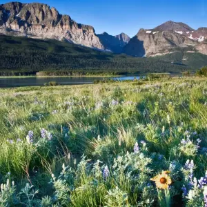 Explore Yellowstone Wildlife Trails - Camping for 12 days with Exodus Adventure Travels and discover unforgettable experiences - Photo 4