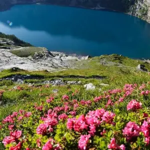 Explore Walking in Kandersteg for 6 days with Exodus Adventure Travels and discover unforgettable experiences - Photo 8