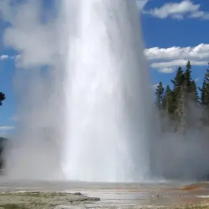 Explore Yellowstone Wildlife Trails - Camping for 12 days with Exodus Adventure Travels and discover unforgettable experiences - Photo 10