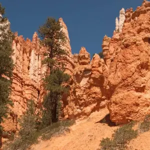 Explore National Parks Walk for 11 days with Exodus Adventure Travels and discover unforgettable experiences - Photo 5