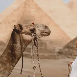 Explore Giza pyramids & Sphinx & thirty minutes Camel ride included for 1 days with Experience Egypt Tours and discover unforgettable experiences - Photo 3