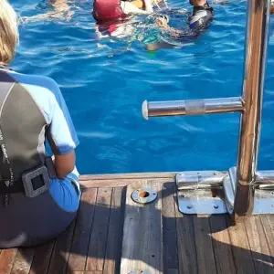 Explore Hurghada Sea Day Tour and Scuba Diving for 1 days with Experience Egypt Tours and discover unforgettable experiences - Photo 4