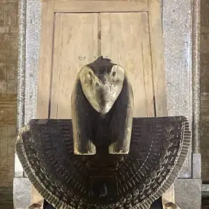 Explore Day Tour to Edfu & Kom Ombo from Luxor or Aswan for 1 days with Experience Egypt Tours and discover unforgettable experiences - Photo 6