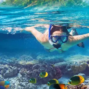 Explore White Island and Ras Mohamed sea tour Adventure for 1 days with Experience Egypt Tours and discover unforgettable experiences - Photo 6