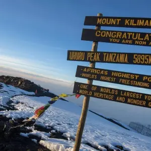 Explore Climb Mt.Kilimanjaro (Lemosho Route) 8 Days for 8 days with Expeditions Gateways and discover unforgettable experiences - Photo 2