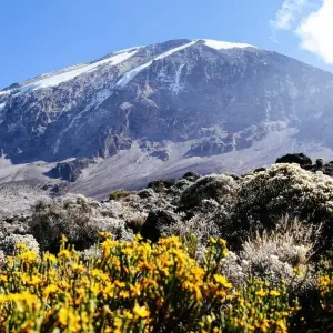 Explore Climb Mt.Kilimanjaro (Lemosho Route) 8 Days for 8 days with Expeditions Gateways and discover unforgettable experiences - Photo 4