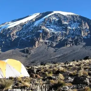 Explore Climb Mt.Kilimanjaro (Lemosho Route) 8 Days for 8 days with Expeditions Gateways and discover unforgettable experiences - Photo 5
