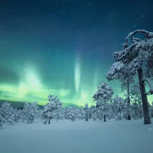 Explore Finland  Highlights & Arctic Adventure with Northern Lights & Glass Igloo for 7 days with Expeditions Gateways and discover unforgettable experiences - Photo 3