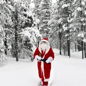 Explore Finland  Highlights & Arctic Adventure with Northern Lights & Glass Igloo for 7 days with Expeditions Gateways and discover unforgettable experiences - Photo 6