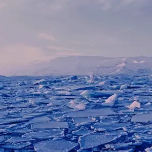 Explore Icelandic In-depth In 8 Days for 8 days with Expeditions Gateways and discover unforgettable experiences - Photo 7