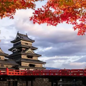 Explore Japan Cultural  Highlights for 15 days with Expeditions Gateways and discover unforgettable experiences - Photo 4