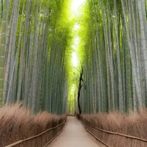 Explore Japan Cultural  Highlights for 15 days with Expeditions Gateways and discover unforgettable experiences - Photo 6