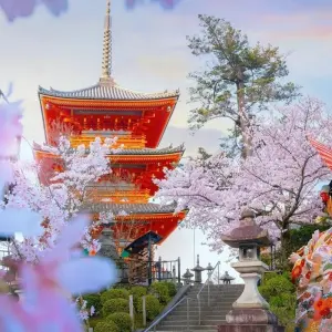 Explore Japan Cultural  Highlights for 15 days with Expeditions Gateways and discover unforgettable experiences - Photo 7