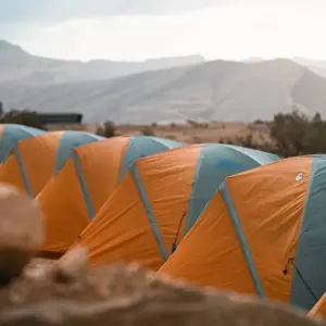 Explore Dana to Petra Trek + Wadi Rum & The Dead Sea for 9 days with Experience Jordan and discover unforgettable experiences - Photo 10