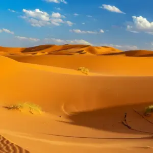 Explore Moroccan Capitals, Seville and Lisbon for 12 days with Europamundo and discover unforgettable experiences - Photo 9