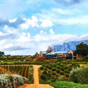 Explore South African Escape for 14 days with Expat Explore Travel and discover unforgettable experiences - Photo 9