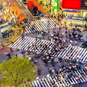 Explore Highlights of Japan for 13 days with Expat Explore Travel and discover unforgettable experiences - Photo 2