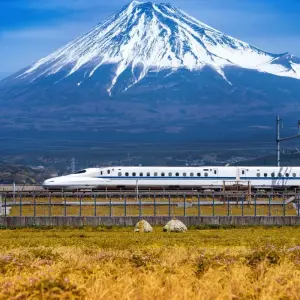 Explore Highlights of Japan for 13 days with Expat Explore Travel and discover unforgettable experiences - Photo 6