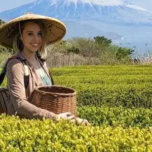 Explore Highlights of Japan for 13 days with Expat Explore Travel and discover unforgettable experiences - Photo 11