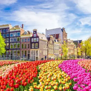 Explore Rome to Amsterdam for 10 days with Expat Explore Travel and discover unforgettable experiences - Photo 11