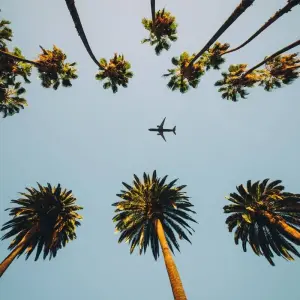 Explore Dreams of the West end in San Francisco for 10 days with Europamundo and discover unforgettable experiences - Photo 2