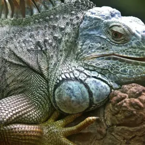 Explore Brazil, Iguazu & Argentina Delights - Tour Rio to Buenos Aires for 13 days with Expat Explore Travel and discover unforgettable experiences - Photo 5