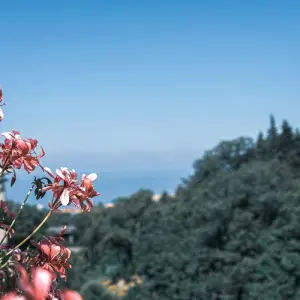 Explore Beautiful Campania and Sicily for 5 days with Europamundo and discover unforgettable experiences - Photo 5