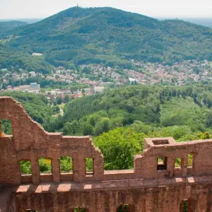 Explore Spain, Burgundy, Alsace and Black Forest for 10 days with Europamundo and discover unforgettable experiences - Photo 9