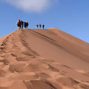 Explore 6 Days Camel Trekking from Marrakech to M'hamid & Erg Zaher Desert for 6 days with Explore Adventures Morocco and discover unforgettable experiences - Photo 6