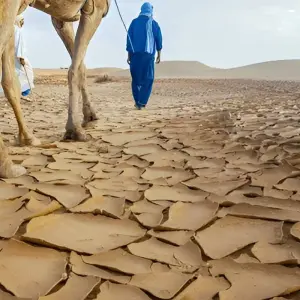 Explore 6 Days Camel Trekking from Marrakech to M'hamid & Erg Zaher Desert for 6 days with Explore Adventures Morocco and discover unforgettable experiences - Photo 7