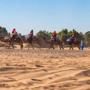 Explore 6 Days Camel Trekking from Marrakech to M'hamid & Erg Zaher Desert for 6 days with Explore Adventures Morocco and discover unforgettable experiences - Photo 9