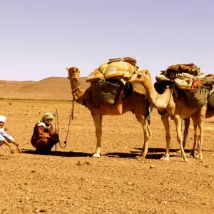 Explore Berber Trekking in the Southern Desert 12 Days for 12 days with Explore Morocco Travel and discover unforgettable experiences - Photo 2