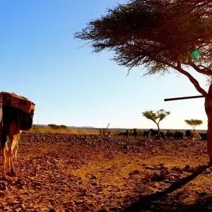 Explore Berber Trekking in the Southern Desert 12 Days for 12 days with Explore Morocco Travel and discover unforgettable experiences - Photo 3