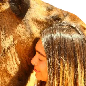 Explore Private 4-Days-Tour from Fes to the Sahara until Marrakech (Private Tour) for 4 days with Explore Morocco Travel and discover unforgettable experiences - Photo 5