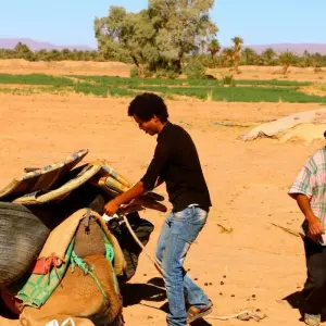 Explore 10 Days Private Tour Southern Morocco incl. 5 days Trekking from/to Marrakech for 10 days with Explore Morocco Travel and discover unforgettable experiences - Photo 4