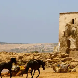 Explore The Coast of Southern Morocco: 7 Day Tour from/to Casablanca: Atlantic Beaches and Atlas Mountains (Private Tour) for 7 days with Explore Morocco Travel and discover unforgettable experiences - Photo 2