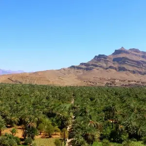 Explore 10 Days Private Tour Southern Morocco incl. 5 days Trekking from/to Marrakech for 10 days with Explore Morocco Travel and discover unforgettable experiences - Photo 5