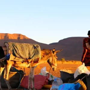 Explore Berber Trekking in the Southern Desert 12 Days for 12 days with Explore Morocco Travel and discover unforgettable experiences - Photo 6