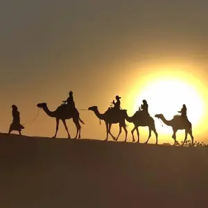 Explore Private 11-Days-Tour from Casablanca to the Sahara until Marrakech or Casablanca for 11 days with Explore Morocco Travel and discover unforgettable experiences - Photo 8