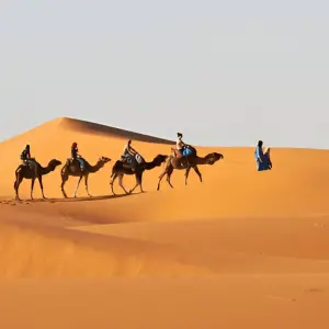 Explore 7 Days Tour from Casablanca Imperial Cities & Desert for 7 days with Explore Adventures Morocco and discover unforgettable experiences - Photo 8