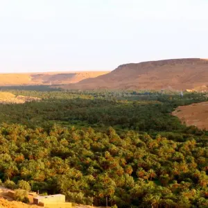 Explore Moroccan Express: From Marrakech, Merzouga, Fes and back in 4 days (Private Tour) for 4 days with Explore Morocco Travel and discover unforgettable experiences - Photo 6