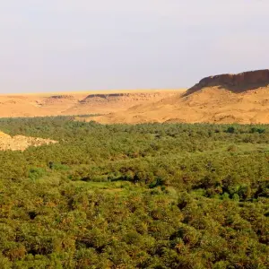 Explore Private 4-Days-Tour from Fes to the Sahara until Marrakech (Private Tour) for 4 days with Explore Morocco Travel and discover unforgettable experiences - Photo 8