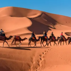 Explore 6 Days of Wonders Nomad Route Blue City and Golden Dunes for 6 days with Explore Adventures Morocco and discover unforgettable experiences - Photo 11
