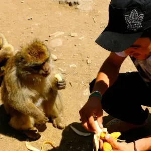 Explore Private 4-Days-Tour from Fes to the Sahara until Marrakech (Private Tour) for 4 days with Explore Morocco Travel and discover unforgettable experiences - Photo 9