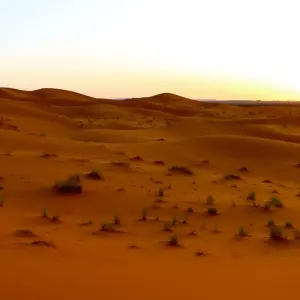 Explore 2 Days Tour from Marrakech to Zagora Desert via Atlas and Draa Valley: Glamping in Erg Lihoudi (Private Tour) for 2 days with Explore Morocco Travel and discover unforgettable experiences - Photo 5