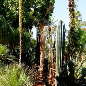 Explore The Coast of Southern Morocco: 7 Day Tour from/to Casablanca: Atlantic Beaches and Atlas Mountains (Private Tour) for 7 days with Explore Morocco Travel and discover unforgettable experiences - Photo 8