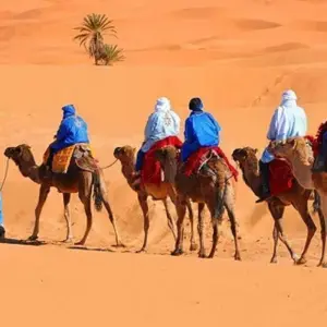 Explore Authentic 7-Day Morocco Tour from Casablanca for 7 days with Explore Morocco Journeys and discover unforgettable experiences - Photo 5